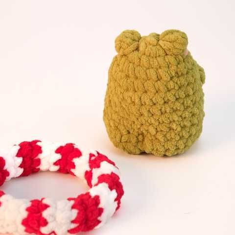 Купить Жабка Хана (Набор) Hana в интернет магазине Crochetty Kit
